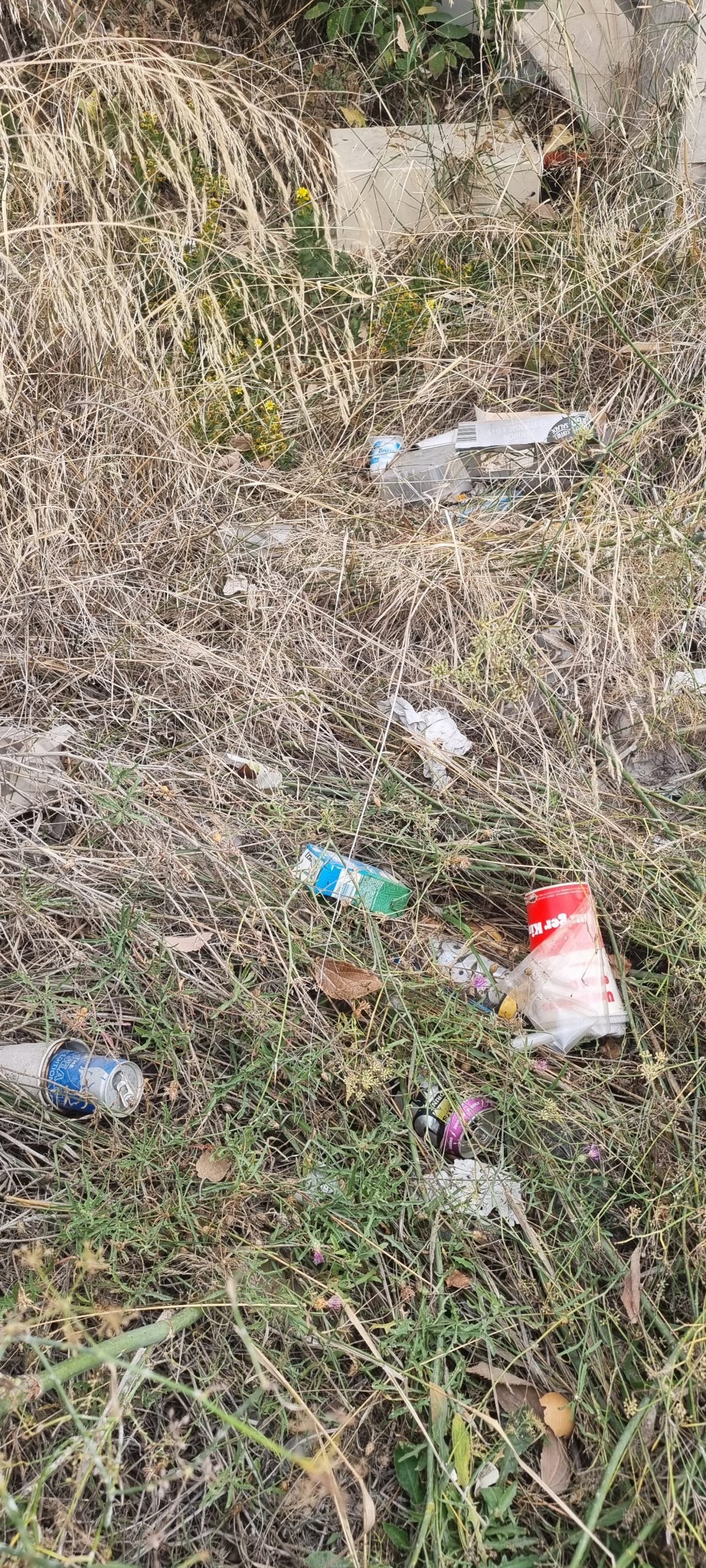 déchets visible dans un tas d'herbe 2 Photo de déchets dans la nature