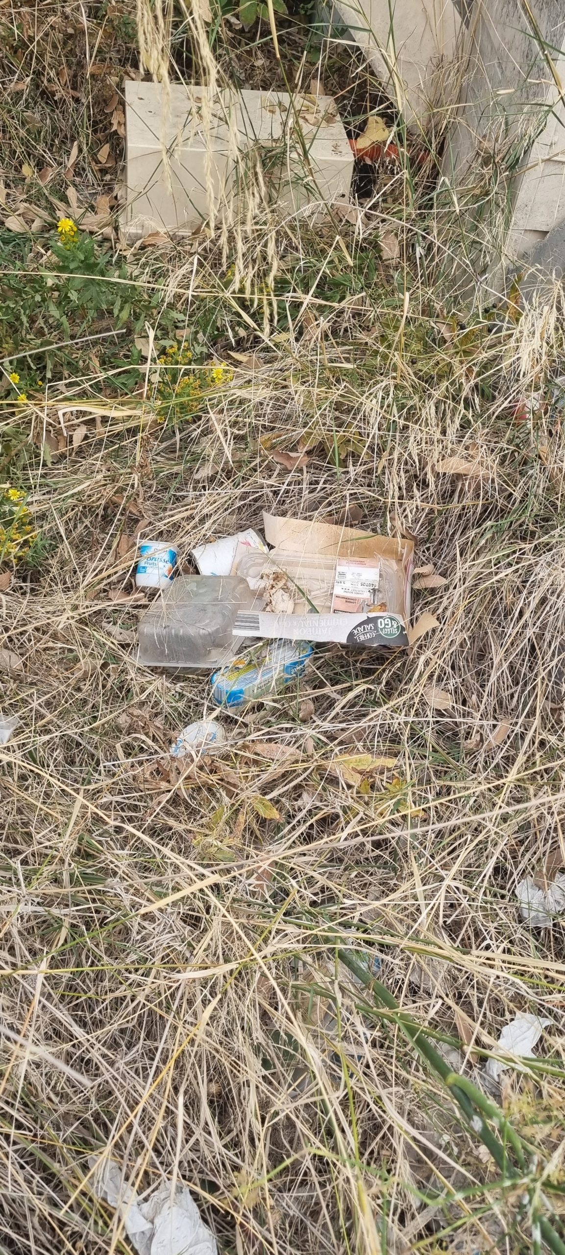 déchets visible dans un tas d'herbe 1 Photo de déchets dans la nature